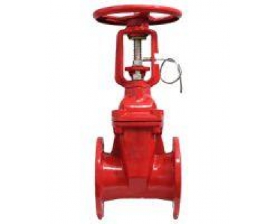 Inox mặt bích ty nổi